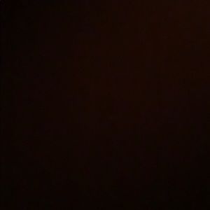 Meet your Posher, Bridget